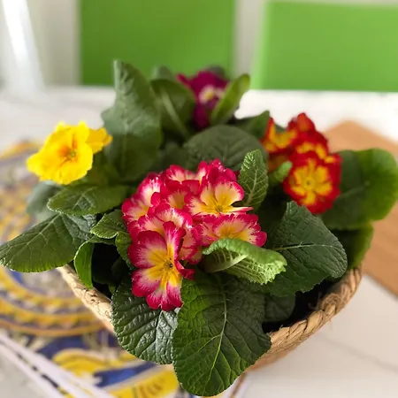 Molo Sbriju - Centro パレルモ